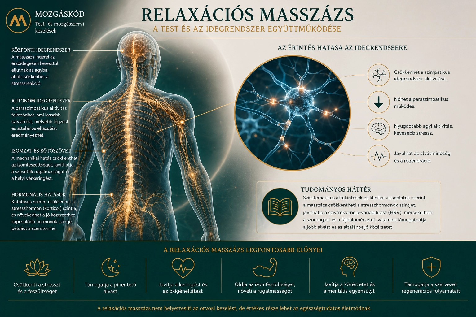 Relaxációs masszázs és az idegrendszer működése tudományos infografikán – Mozgáskód