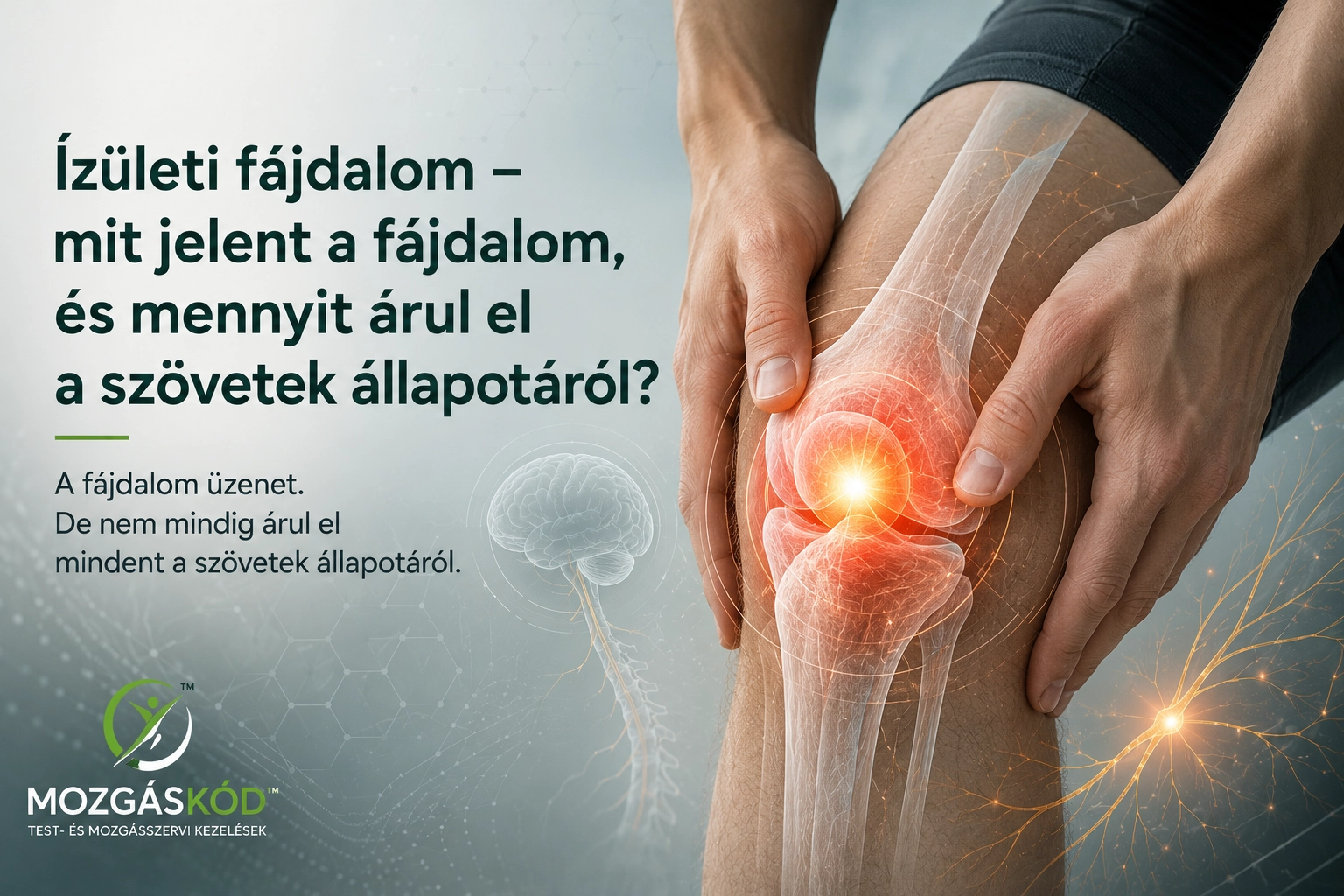 Ízületi fájdalom és az idegrendszeri fájdalomfeldolgozás szemléltetése térdízületen