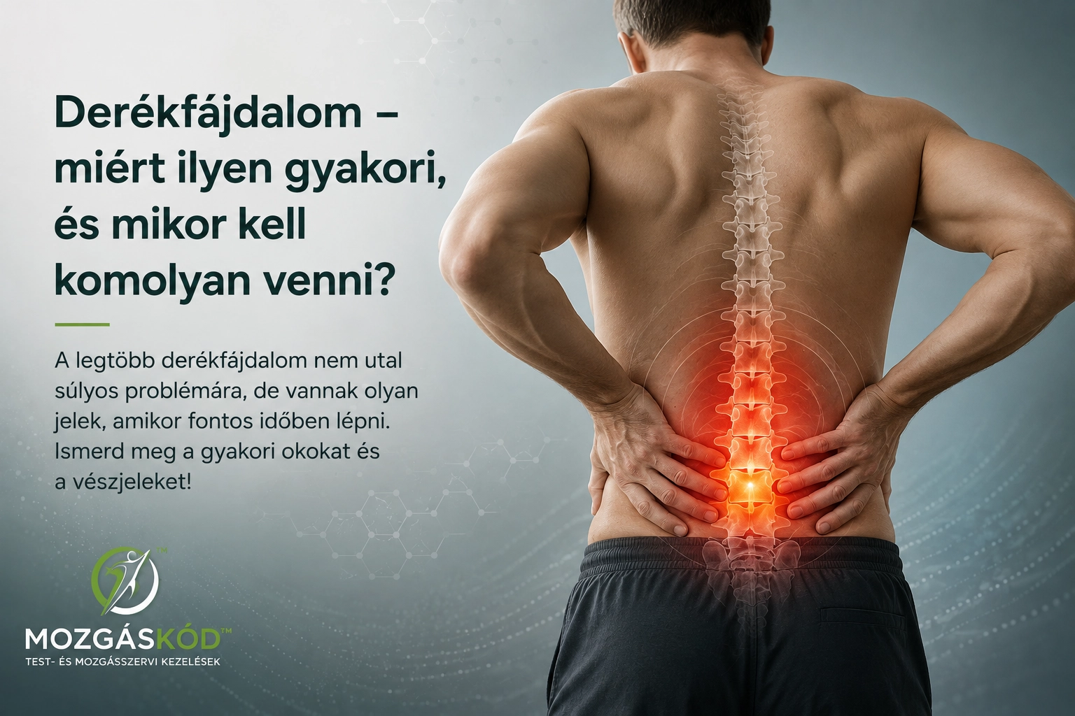 Derékfájdalom és az ágyéki gerinc anatómiai szemléltetése