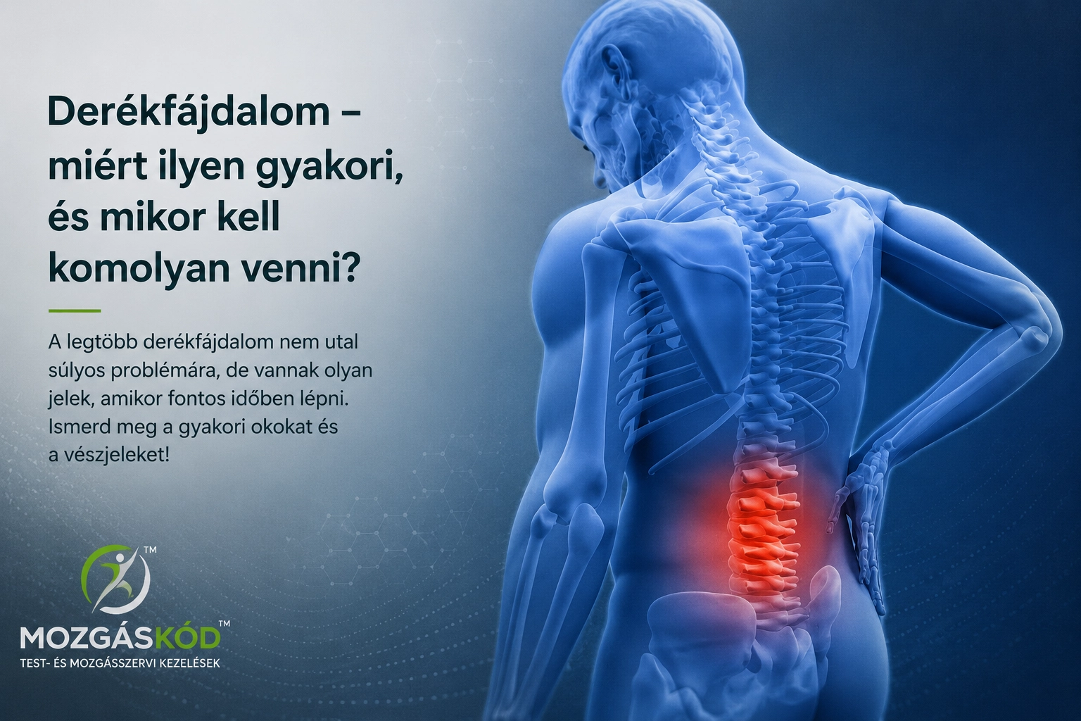 Az ágyéki gerinc és a derékfájdalom anatómiai szemléltetése