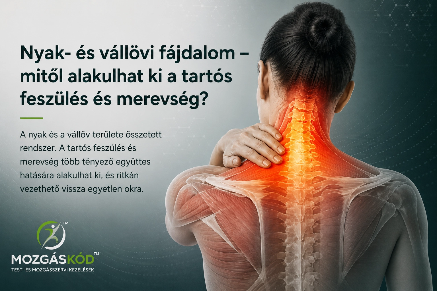 Nyak- és vállövi fájdalom anatómiai szemléltetése a nyaki gerinc és a vállöv területén