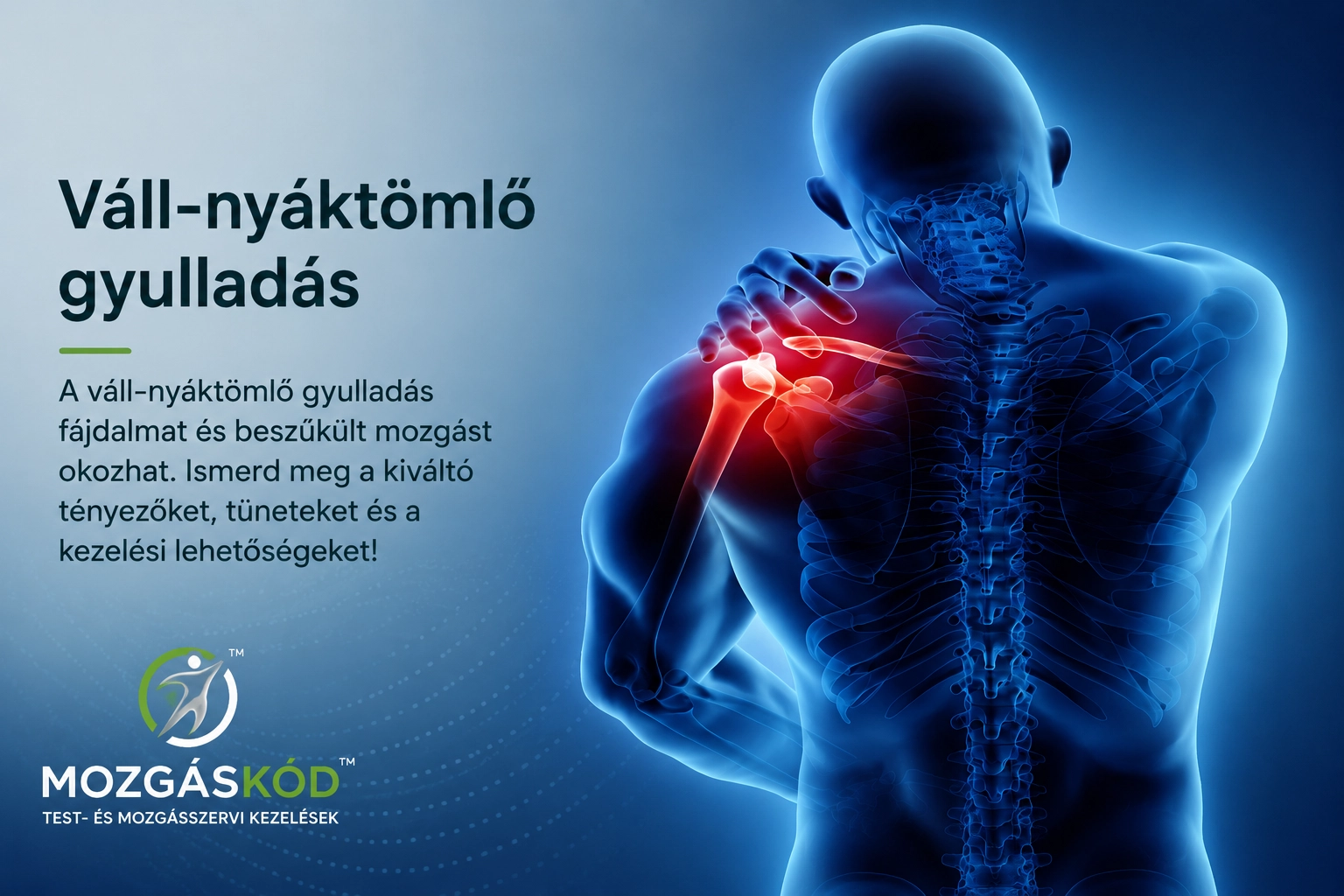 Vállfájdalom és a váll-nyáktömlő területének szemléltetése