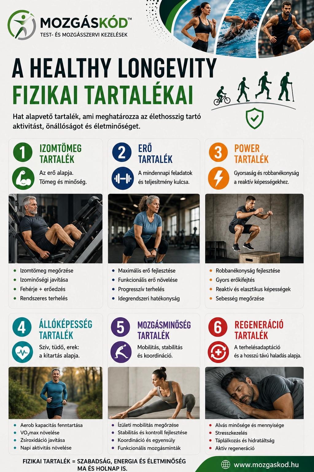 A fizikai tartalék összetevői: izomtömeg, erő, teljesítmény, állóképesség, mozgásminőség és regeneráció